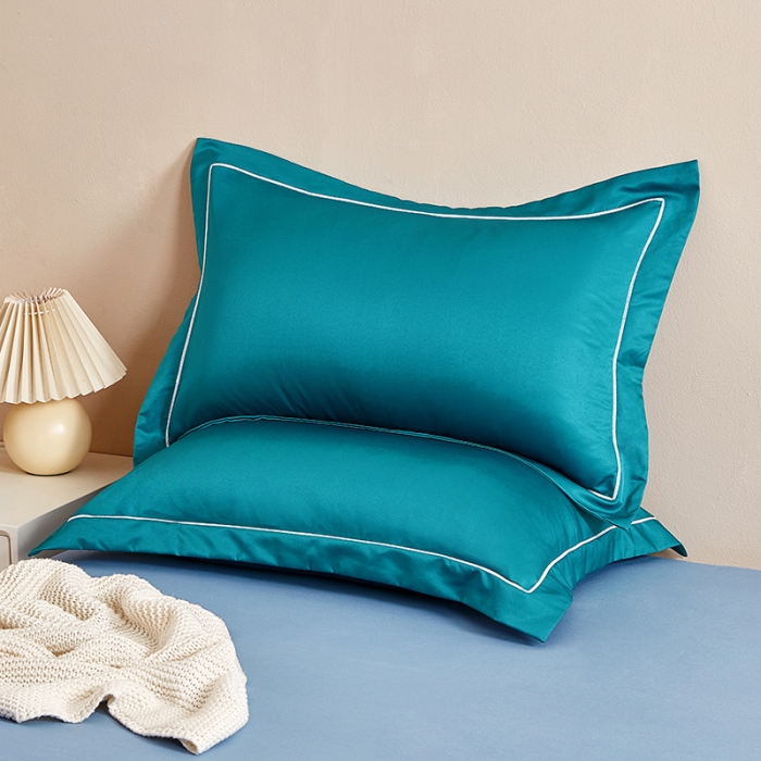 91家纺网 家纺一手货源 找家纺 （总）丰淘 2023新款水洗真丝纯色枕套