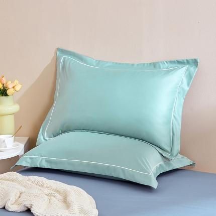 丰淘 2023新款水洗真丝纯色枕套 水洗真丝-清水绿