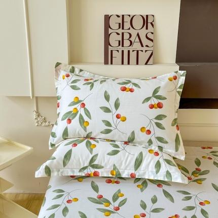 91家纺网 家纺一手货源 找家纺 （总）帛织澜家纺 2025新款12868全棉喷气印花枕套