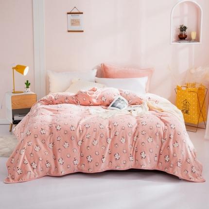 91家纺网 家纺一手货源 找家纺 总来菲毛毯 2025新款270克法莱绒毛毯印花珊瑚绒毯子加厚法兰绒休闲毯