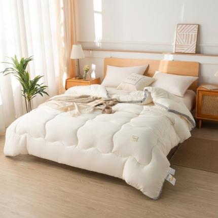 91家纺网 家纺一手货源 找家纺 （总）畅销 2024款水洗棉立体冬被大床图