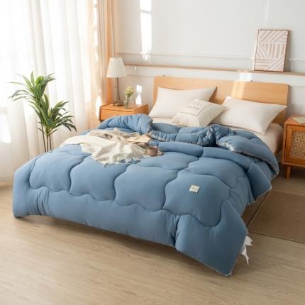 91家纺网 家纺一手货源 找家纺 （总）畅销 2024款水洗棉立体冬被大床图
