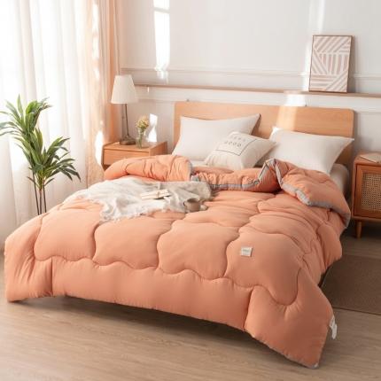 91家纺网 家纺一手货源 找家纺 （总）畅销 2024款水洗棉立体冬被大床图