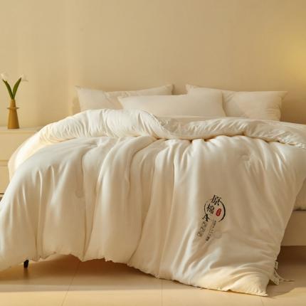 91家纺网 家纺一手货源 找家纺 (总) 一加一 2025新款A字原棉大豆被