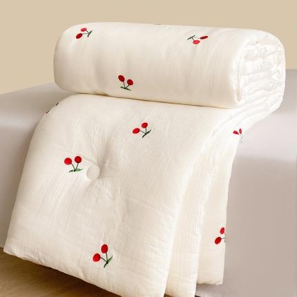 91家纺网 家纺一手货源 找家纺 （总）一加一 2025新款双层纱刺绣大豆被