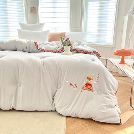 91家纺网 家纺一手货源 找家纺 （总）太阳羽 2023新款小火山60磨毛大豆纤维春秋冬被芯