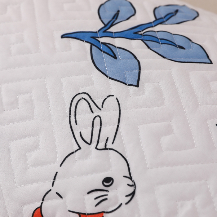 91家纺网 家纺一手货源 找家纺 艾兜坊 2023新款磨毛夹棉花边双人枕套 草莓兔