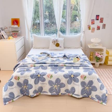 艾兜坊2023新款水洗棉夏被兰莓之恋