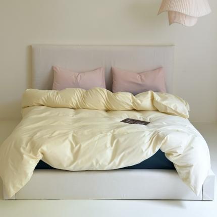 玛奇朵 2023秋冬新品50S双股轻磨毛-混搭系列 温柔告白