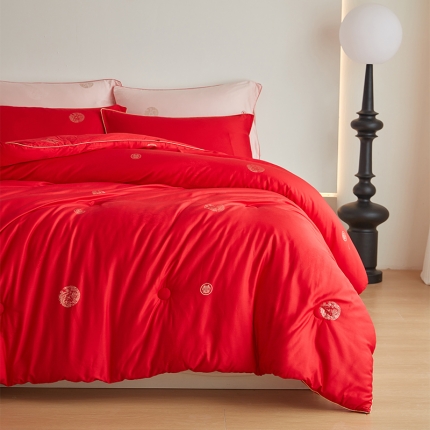 91家纺网 家纺一手货源 找家纺 2024新款100支天丝棉婚庆被结婚订婚大红蚕丝大豆被芯春秋被冬被