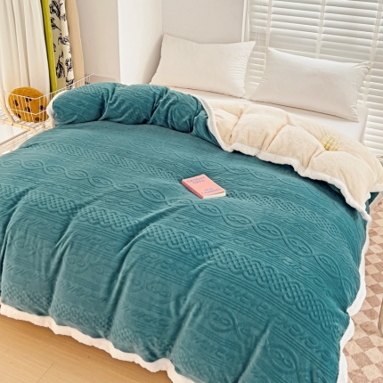 91家纺网 家纺一手货源 找家纺 （总）法澳 2023新款220克牛奶绒雕花烂花多功能单被套