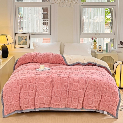 91家纺网 家纺一手货源 找家纺 （总）法澳 2023新款230克塔芙绒北极绒多功能单被套