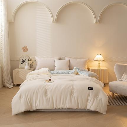 91家纺网 家纺一手货源 找家纺 （总）一加一 2025新款双拼贴标大豆被子冬被芯