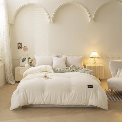 91家纺网 家纺一手货源 找家纺 （总）一加一 2025新款双拼贴标大豆被子冬被芯