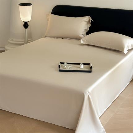 618家纺 2023新款100支北欧长绒棉单床单 纯色雪咖