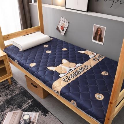 91家纺网 家纺一手货源 找家纺 （总）张先生2024水洗棉印花加厚床垫学生款