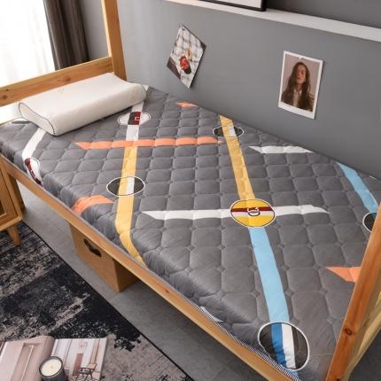 91家纺网 家纺一手货源 找家纺 （总）张先生2024水洗棉印花加厚床垫学生款