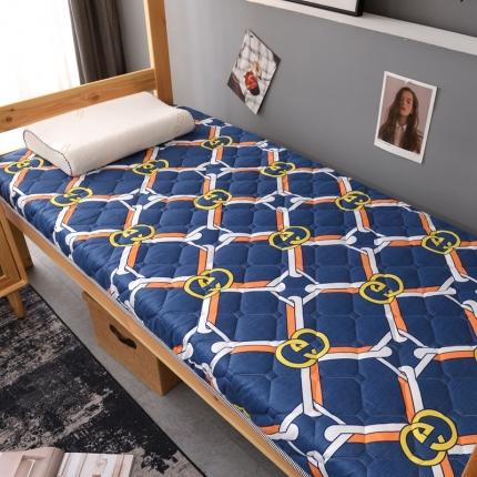 91家纺网 家纺一手货源 找家纺 （总）张先生2024水洗棉印花加厚床垫学生款