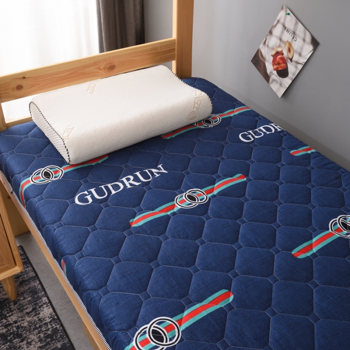 91家纺网 家纺一手货源 找家纺 张先生2024水洗棉印花加厚床垫学生款 潮流风范