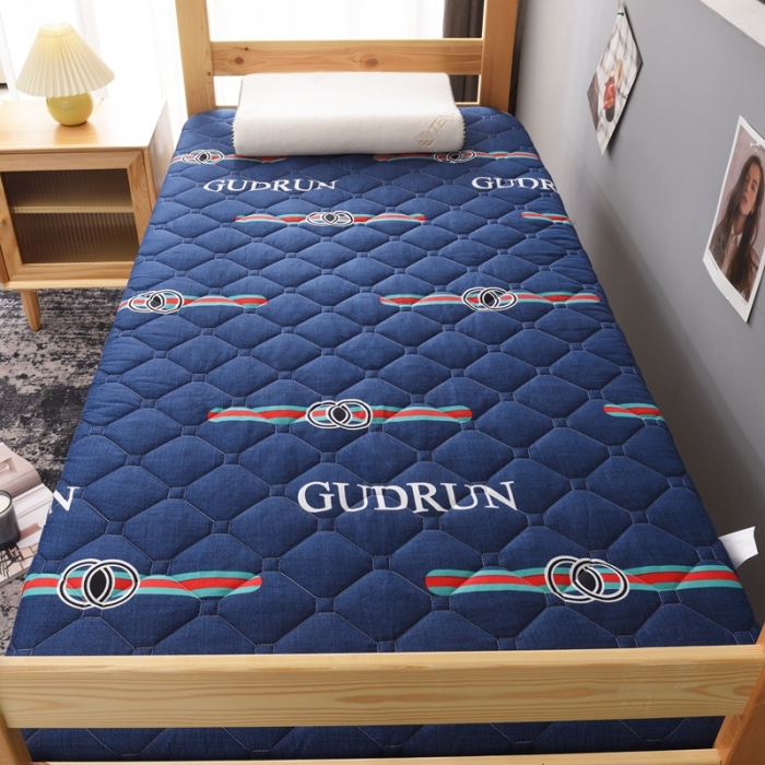 91家纺网 家纺一手货源 找家纺 张先生2024水洗棉印花加厚床垫学生款 潮流风范