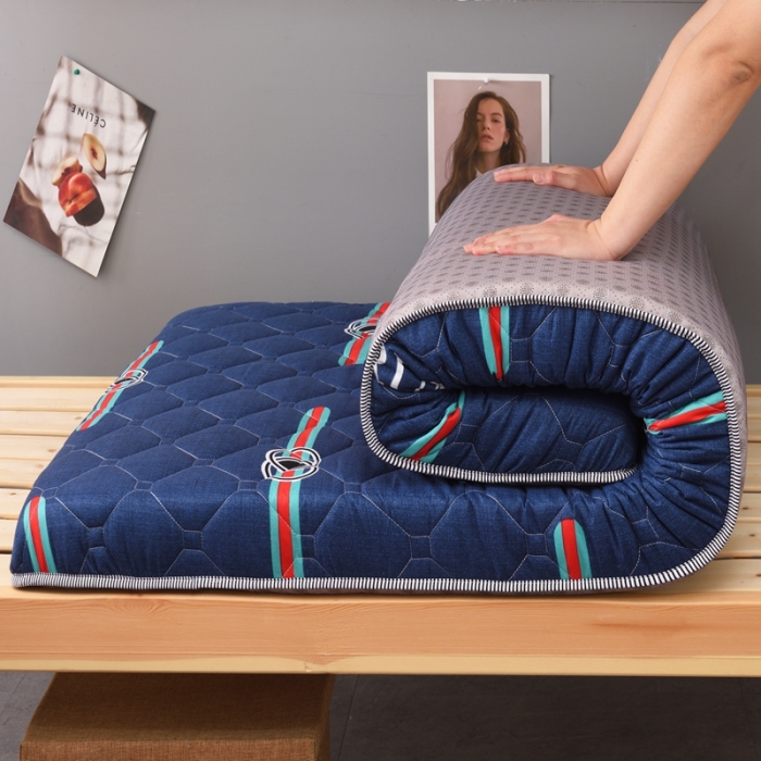 91家纺网 家纺一手货源 找家纺 张先生2024水洗棉印花加厚床垫学生款 潮流风范