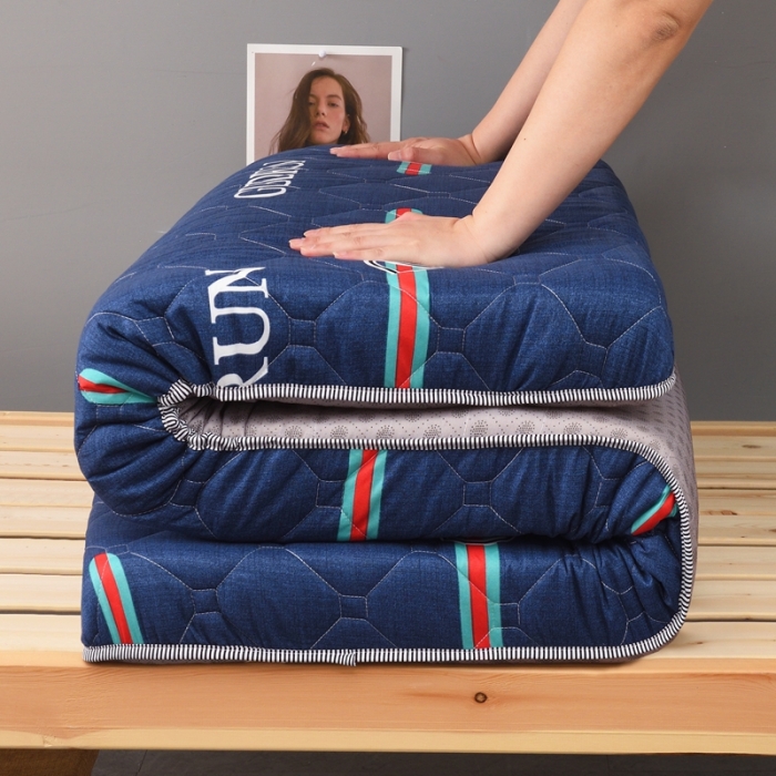 91家纺网 家纺一手货源 找家纺 张先生2024水洗棉印花加厚床垫学生款 潮流风范