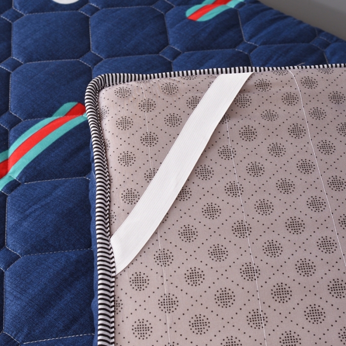 91家纺网 家纺一手货源 找家纺 张先生2024水洗棉印花加厚床垫学生款 潮流风范