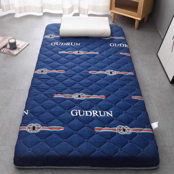 91家纺网 家纺一手货源 找家纺 张先生2024水洗棉印花加厚床垫学生款 潮流风范