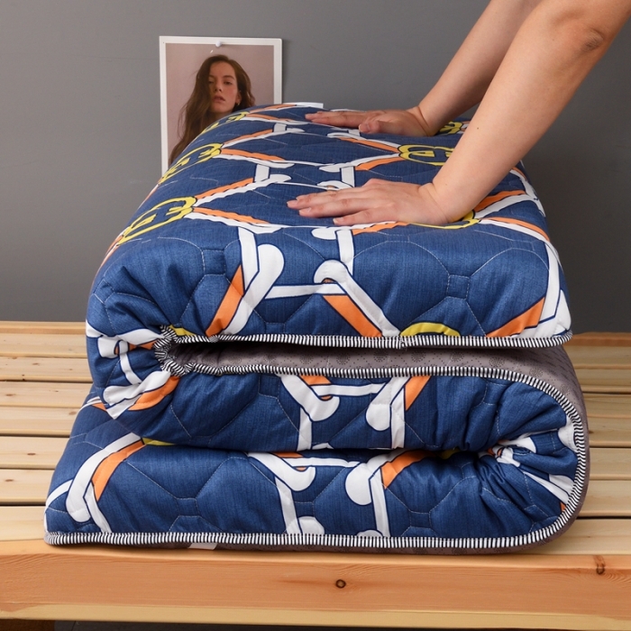 91家纺网 家纺一手货源 找家纺 张先生2024水洗棉印花加厚床垫学生款 字母