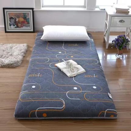 91家纺网 家纺一手货源 找家纺 （总）张先生2024水洗棉印花加厚床垫学生款