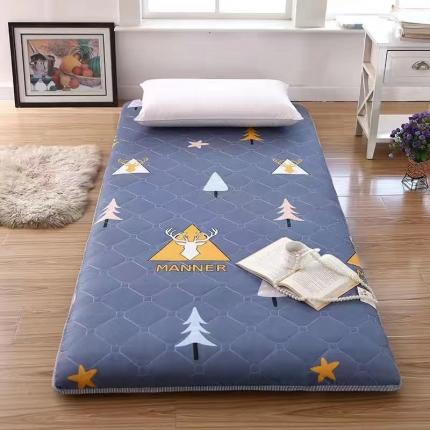 91家纺网 家纺一手货源 找家纺 （总）张先生2024水洗棉印花加厚床垫学生款