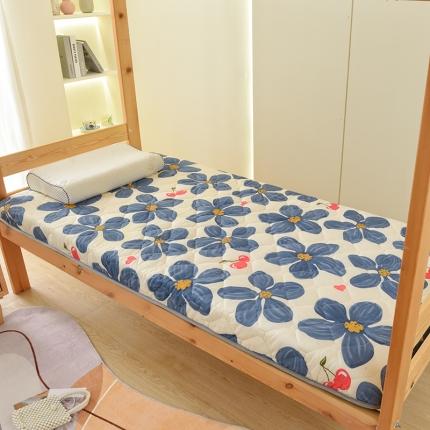 91家纺网 家纺一手货源 找家纺 （总）张先生2024水洗棉印花加厚床垫学生款