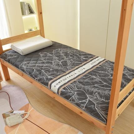 91家纺网 家纺一手货源 找家纺 （总）张先生2024水洗棉印花加厚床垫学生款