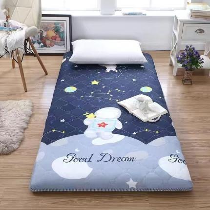 91家纺网 家纺一手货源 找家纺 （总）张先生2024水洗棉印花加厚床垫学生款