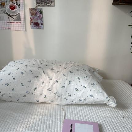 91家纺网 家纺一手货源 找家纺 恋恋三季 2024新款亲肤舒适枕套系列- 小苍兰系列 小苍兰