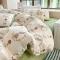 91家纺网 家纺一手货源 找家纺 清雅福 2023新款棉加绒系列全棉加婴儿绒四件套 棉绒-比菲兔