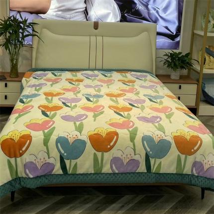 91家纺网 家纺一手货源 找家纺 （总）家维新款婴儿牛奶绒豆豆被双面绒春秋被子冬被芯大豆被