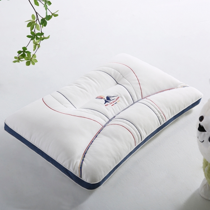 91家纺网 家纺一手货源 找家纺 （总）拾光枕芯  2023新款冰山热度护颈枕