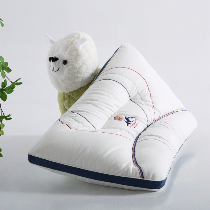 91家纺网 家纺一手货源 找家纺 （总）拾光枕芯  2023新款冰山热度护颈枕