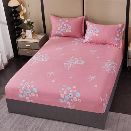 晶缦 2023新款格林系列全棉活性磨毛多规格床笠 沁香