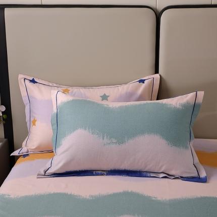 91家纺网 家纺一手货源 找家纺 总-2024新款格林系全棉活性磨毛单品枕套单件 纯棉磨毛枕套加厚单枕套