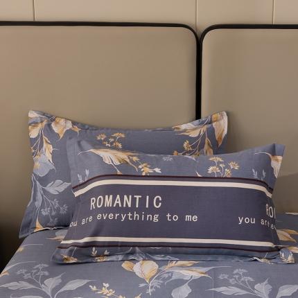 晶缦 2023新款格林系列全棉活性磨毛枕套 镜中花