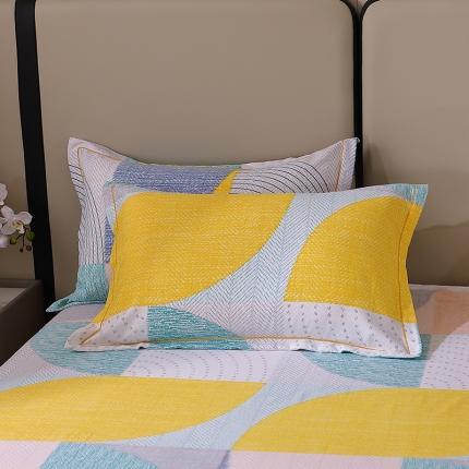 晶缦 2023新款格林系列全棉活性磨毛枕套 美好时光