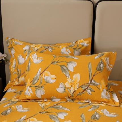 晶缦 2023新款格林系列全棉活性磨毛枕套 如月梦黄