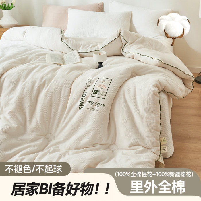 91家纺网 家纺一手货源 找家纺 （总）子由家居 2023新款b类纯棉原棉100棉花冬被