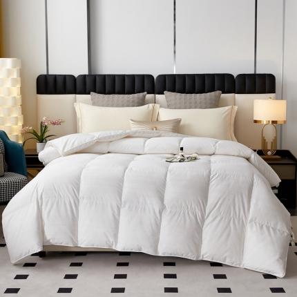 91家纺网 家纺一手货源 找家纺 （总）2024年新款金银丝提花款高端鹅绒被95鹅绒被98鹅绒被