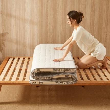 丽诺床垫 2023新款抗菌防螨25D海绵立体床垫 25D海绵床垫5厘米-白色