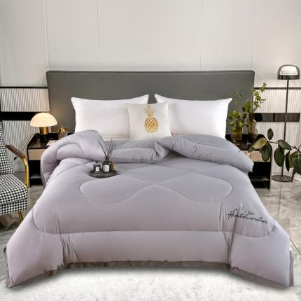 91家纺网 家纺一手货源 找家纺 好欣怡 2026新款水洗棉印花纯色冬被被子被芯 水洗棉-绅士灰