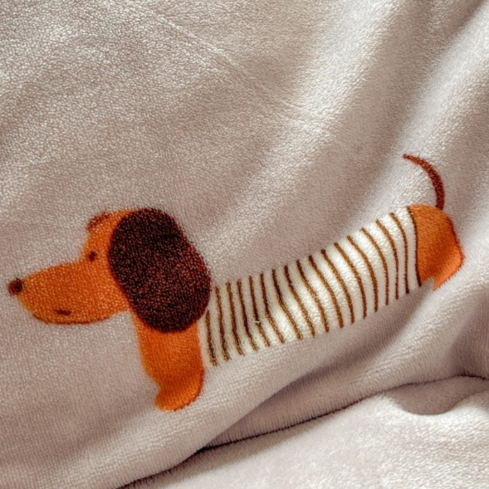 91家纺网 家纺一手货源 找家纺 顾里 2023新款ins少女保暖牛奶绒奶油治 愈系四件套第 一批 腊肠狗