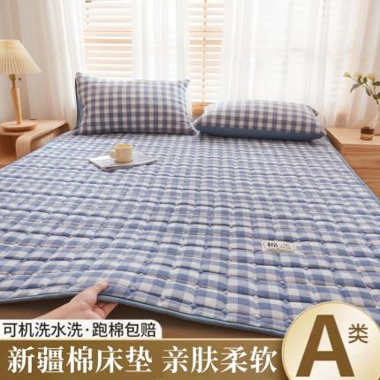 晓时候 2023新款高克重水洗棉新疆棉花床垫床护垫软垫床褥子 三分格-蓝